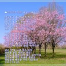 대궐 - 안양시 동안구 평촌대로223번길 16 | 대궐