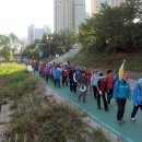 분당-323 이미지