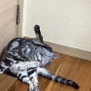 맘보민박 | 누리달 두 번째 일상