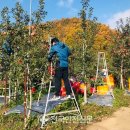 석보면사무소 이미지