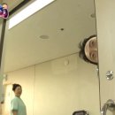 나돼지 이미지