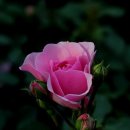 청하무도장 이미지