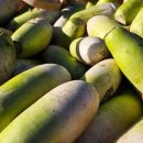 농업회사법인 주식회사 팜스 이미지