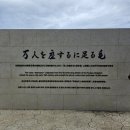 여주-0301 | 오키나와 두번째 날