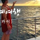 씨디스마켓 네이버블로그