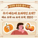 [한의학 궁금증 풀이] 부기 빼는데 효과적인 호박? 채소 호박 vs 보석 호박 이미지