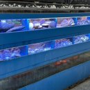 행운동-14 이미지