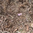 상구목장 이미지