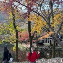 똘이똘이엄마식당 이미지