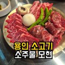 모현농협 | 용인 소고기 | 생갈비부터 주물럭까지 소주물 모현 솔직후기