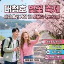 흥진환경(주) | 대청호 벚꽃축제 일정 개화 및 만개 시기, 주차 꿀팁, 사진 명당 - 세상에서 가장 긴 벚꽃길(26.6km...