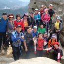 싱싱이막회 이미지