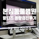 동구종합동물병원 | 울산 본심동물병원 강아지 건강검진 후기 | 9살 말티즈 종합검진 결과