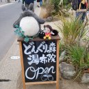후쿠오카 여행 리뷰 其の 二. 유후인(由布院)