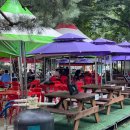 닭도리탕&부대찌개(2층집) 이미지