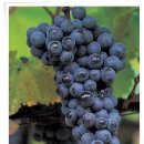 단곡1리 이미지