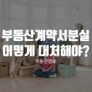 부동산계약서분실 어떻게 대처해야 하나요? 이미지