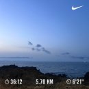 서귀포 매일 올레시장/제주 러닝 코스 추천🏃‍♀️(feat. 허거덩거덩스 주취자 발생 사건)