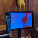 신화로 닭발 | 화성 남양 닭발 맛집 신화로 닭발 숯불 향 나는 닭발 맛집