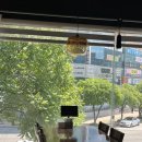 2019066 | 해운대 중식 맛집 홍유단 해운대 후기