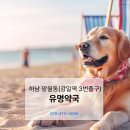 유명프라자약국 이미지