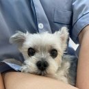 으뜸플러스안경 원주기업도시점 | [공지] 아팠던 나의 10월 💦 제가 왜 아팠냐면요