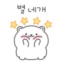올이미지스