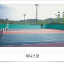 속초시립테니스장