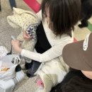 헬로샌디치 이미지