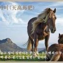 고사성어 유래＜201＞天高馬肥(천고마비) 이미지