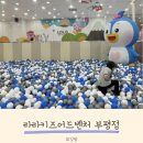 라라키즈어드벤처부평 이미지