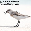 (가격인하 & 240501 내용 추가) 니콘 AF-S NIKKOR 600mm f4G ED VR 판매합니다. (정품) 이미지