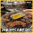 신월동고깃집추천[소품은돼지]방문후기!/양천구신월동맛집추천/신월동매일여는고깃집/양천구가성비...