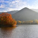 송미령 시 / 그땐 그랬더란다 외1 이미지