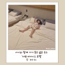 더원 호텔 | 화순 숙소 더원 비지니스 호텔 아이와 머물기 좋은 넓은 객실 조식 후기