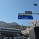 부모님과 함께하는 보드게임(유아) 이미지