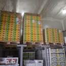 (주)골드레몬 이미지