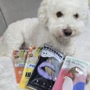 펫프레시 이미지