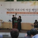 뉴 마로니에 이미지