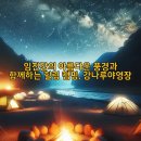강나루야영장