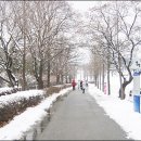 초원대중 이미지