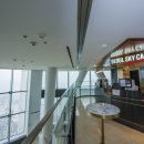 엔제리너스 이미지