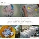 샤보뎅