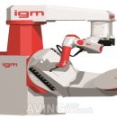 아이지엠 이미지