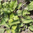 이섭농장 이미지