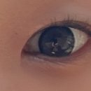 스타글라스, 위드렌즈 이미지