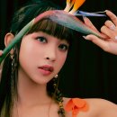 시크릿넘버 카카오 검색결과