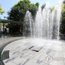 소양댐시민숲공원 이미지