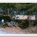 수련원야영장 이미지