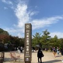 역삼-1291 이미지